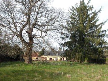 Autres types de propriété à vendre à Bétête en Creuse (23270), ref : 23010-113692