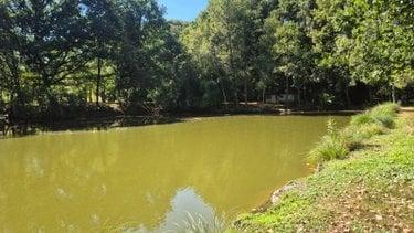 Terrain de loisirs - Bois - Etangs à vendre à Gorron en Mayenne (53120), ref : 2881