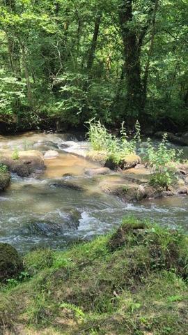 Terrain de loisirs - Bois - Etangs à vendre à Gorron en Mayenne (53120), ref : 2881