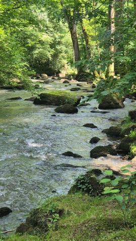 Terrain de loisirs - Bois - Etangs à vendre à Gorron en Mayenne (53120), ref : 2881