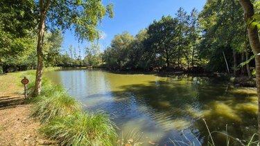 Terrain de loisirs - Bois - Etangs à vendre à Gorron en Mayenne (53120), ref : 2881
