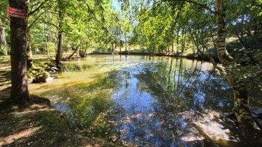 Terrain de loisirs - Bois - Etangs à vendre à Gorron en Mayenne (53120), ref : 2881