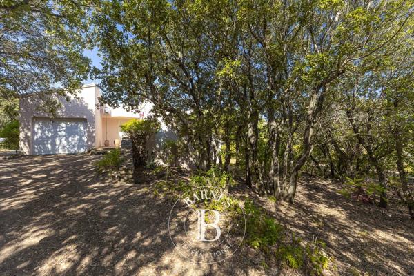 Lecci, Maison 5 Chambres -  164 m² à vendre