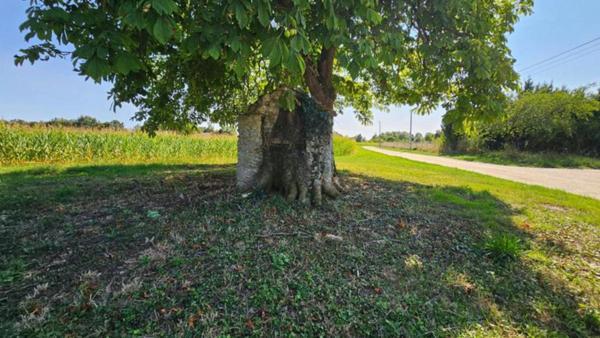 Maison de campagne avec dépendances
