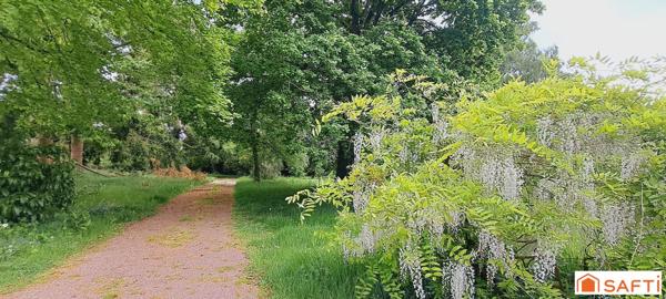 MAGNIFIQUE MAISON DE MAÎTRE, MAISON D'AMIS AVEC TERRAIN DE 9000M²