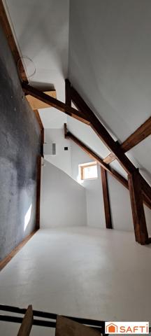 MAGNIFIQUE MAISON DE MAÎTRE, MAISON D'AMIS AVEC TERRAIN DE 9000M²