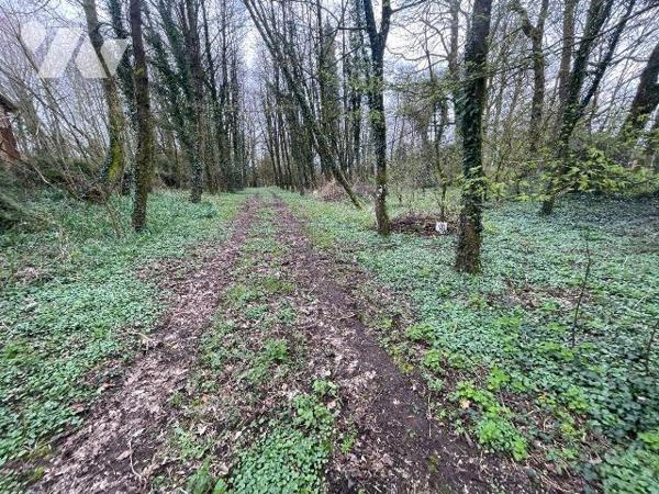 A VENDRE - Pas-de-Calais - HUMIERES - TERRAIN de 9593m² boisée avec une partie constructible
 ...