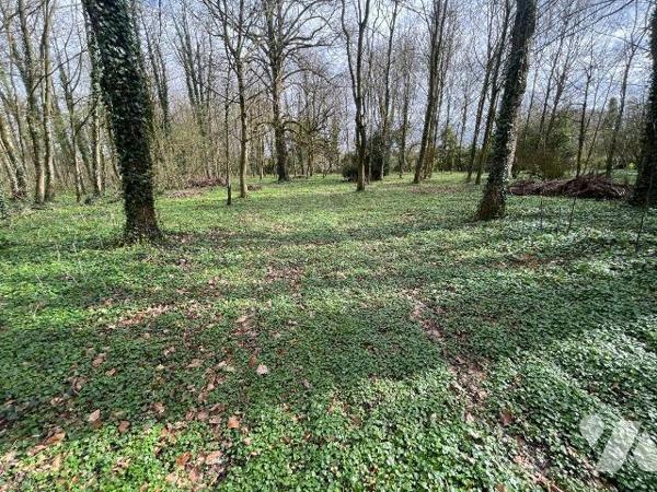 A VENDRE - Pas-de-Calais - HUMIERES - TERRAIN de 9593m² boisée avec une partie constructible
 ...