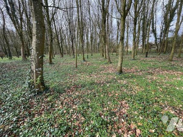 A VENDRE - Pas-de-Calais - HUMIERES - TERRAIN de 9593m² boisée avec une partie constructible
 ...
