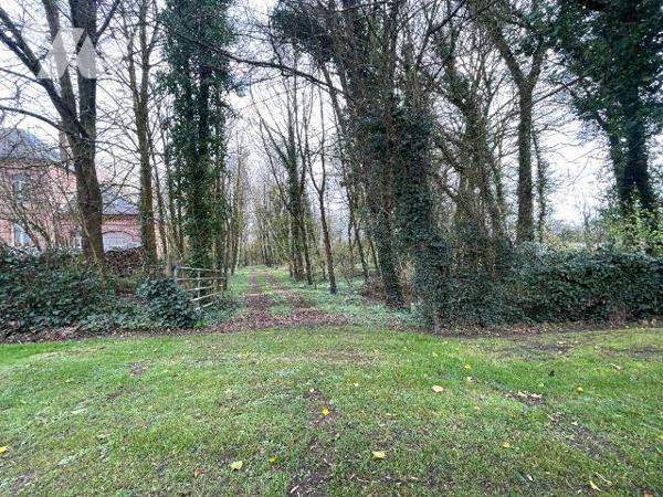 A VENDRE - Pas-de-Calais - HUMIERES - TERRAIN de 9593m² boisée avec une partie constructible
 ...