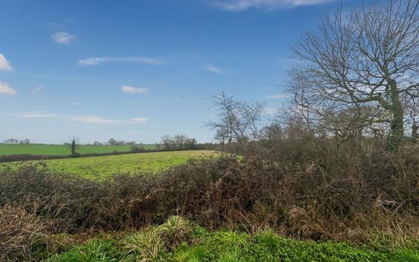 Maison à vendre    8 pièces • 225 m2 Martigné-Ferchaud