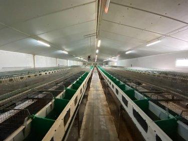 Bâtiment agricole à vendre à La Baconnière en Mayenne (53240), ref : 53047/149