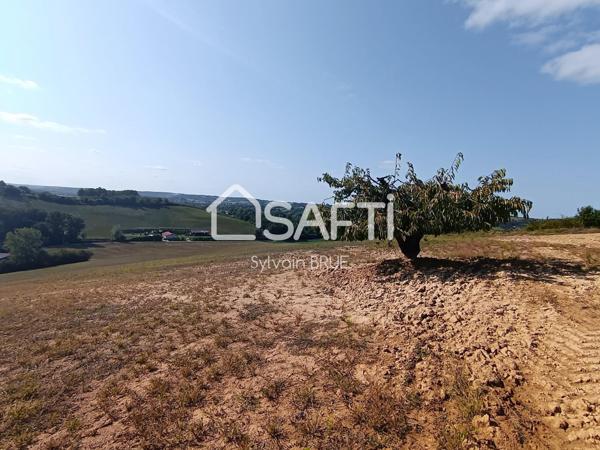 Terre agricole vue dominante