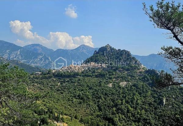 Immeuble mixte de 500 m²