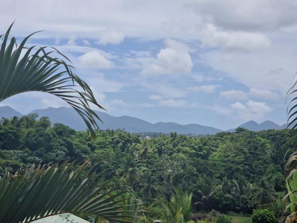 Maison VUE MONTAGNE 4 chambres sur 799 m² de terrain