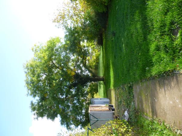 A La Celle-sur-Loire dans la Nièvre (58), maison de village restaurée et très bien isolée