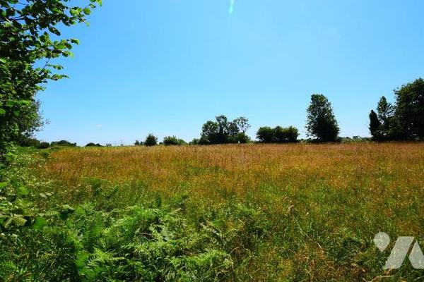 Terrain à vendre Cerisy-la-Salle