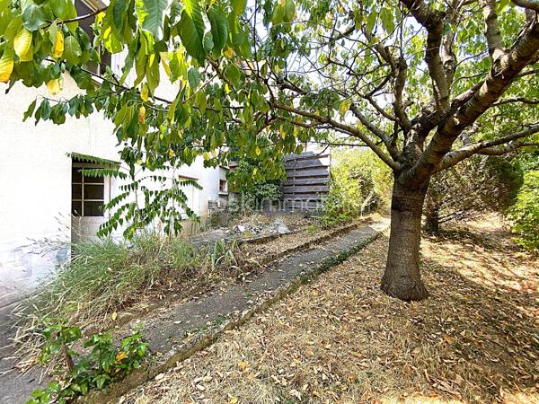 À proximité du centre-ville de Millau, venez découvrir cet agréable appartement T3 d'environ 65 m², situé en rez-de-chaussée d'une petite copropriété de seulement deux logements.

Son véritable atout ? 
Un jardin privatif, un avantage particulièrement appréciable et rare pour un appartement en ville, offrant un bel espace extérieur pour profiter des beaux jours, jardiner ou simplement se détendre.

L'appartement se compose d'une pièce de vie lumineuse avec cuisine ouverte entièrement équipée, de deux chambres confortables, d'une salle de bains et de WC indépendants.
L'espace nuit, avec ses deux chambres orientées côté jardin, bénéficie d'un environnement plus calme.

Autre véritable point fort : le bien dispose d’environ 42 m² de dépendances en rez-de-jardin, comprenant plusieurs espaces de stockage, un atelier, une chaufferie ainsi qu’une cave. Un volume annexe particulièrement appréciable pour ranger vélos, matériel et équipements de loisirs, créer un espace de bricolage ou encore envisager différents aménagements selon vos besoins.

🌿 Jardin privatif 219m²
✨ Appartement rénové
🛏️ 2 chambres côté jardin
🍽️ Cuisine ouverte et équipée
📦 Environ 42 m² de dépendances
🪟 Double vitrage
🏡 Petite copropriété de seulement 2 logements
💶 Faibles charges de copropriété
📍 Proximité du centre-ville, des commerces et des commodités

Résidence principale ou investissement

Actuellement exploité en location saisonnière, cet appartement offre également différentes possibilités selon votre projet : résidence principale, pied-à-terre, location meublée à l'année ou poursuite de l'activité de location saisonnière.

À la demande de l'acquéreur, le logement pourra être vendu meublé et équipé, permettant notamment à un investisseur de poursuivre son exploitation sans avoir à rééquiper entièrement l'appartement.

Un bien fonctionnel qui se démarque sur le marché millavois par la combinaison particulièrement intéressante d'un T3 avec jardin privatif et importantes surfaces annexes.

📞 Pour tout renseignement complémentaire ou pour organiser une visite, contactez moi.
🎥 Vidéo disponible sur demande.

Laetitia Criado – BSK Immobilier
📱 06 61 20 65 41