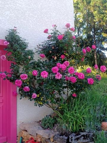 Maison à vendre 6 pièces  (39)