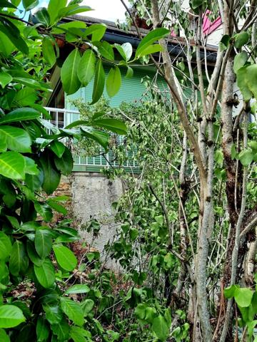 Maison à vendre 6 pièces  (39)