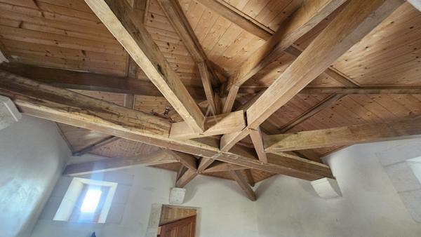 Château médiéval perché sur une colline avec 7 hectares à 15mins de Bordeaux