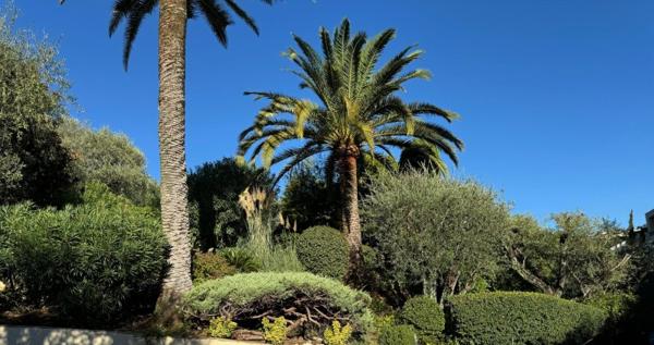Vente / Appartement à Cannes (06400)
