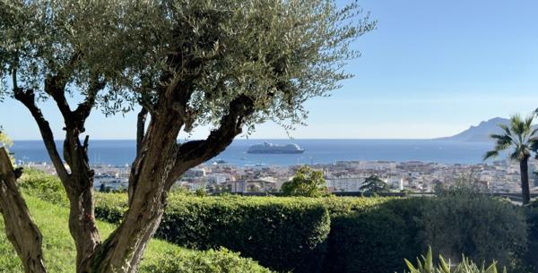Vente / Appartement à Cannes (06400)