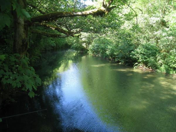 Bâtiment en pierres à vendre CHALEY (01) 1 garage et une pièce au 1er étage