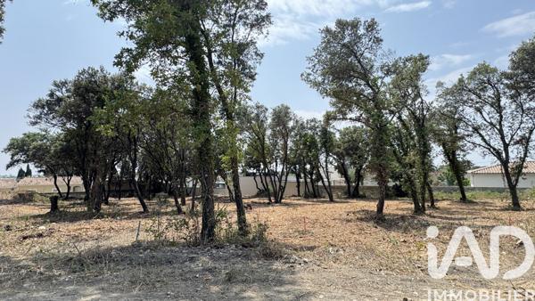 Terrain à vendre 650 m² Bédarrides