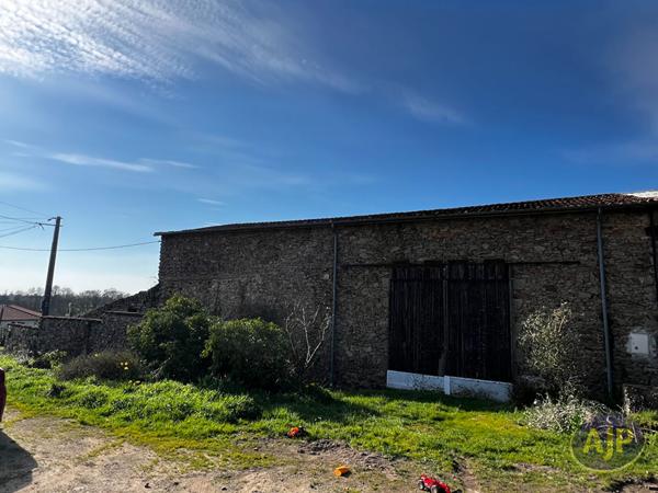 Vente maison Sevremoine : 55 000 € - AJP Immobilier Saint-Macaire-en-Mauges