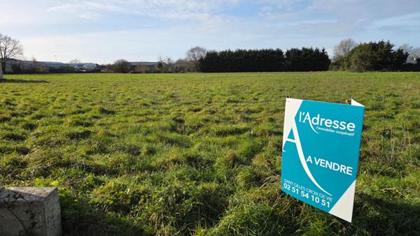 Grand Terrain viabilisé à Commequiers 693 m2