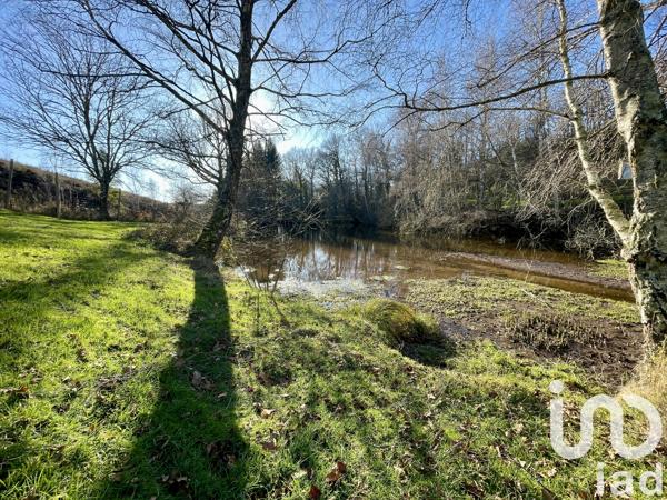 Terrain à vendre 10 600 m² Châteauponsac