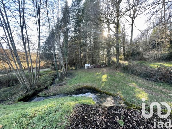 Terrain à vendre 10 600 m² Châteauponsac