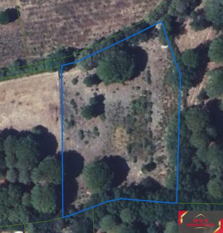 Terrain agricole