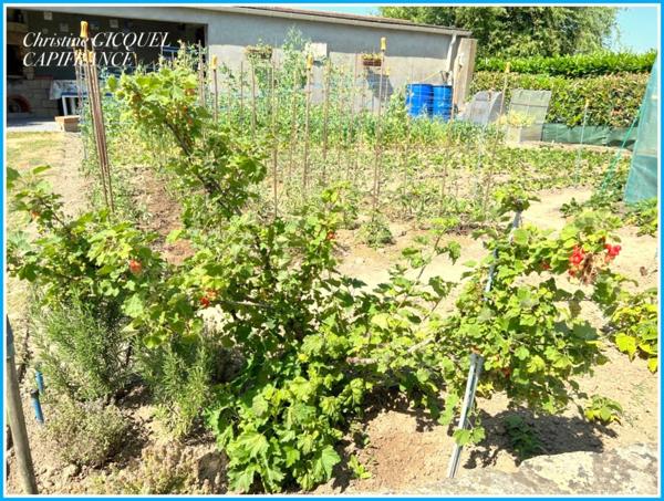 SAINT-NAZAIRE QUARTIER RESIDENTIEL FAMILIAL TOUT A PIED, à vendre MAISON 4 CHAMBRES, JARDIN CLOS, DEPENDANCES.