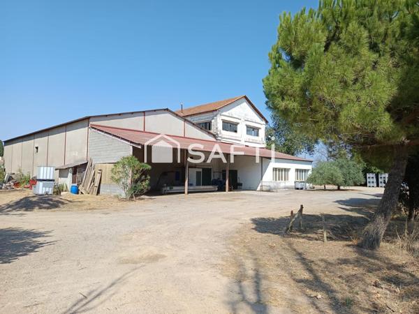 BATIMENTS SUR 6749 M2 DE TERRAIN EN BORD DE RN 113