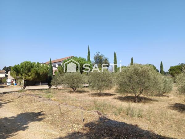 BATIMENTS SUR 6749 M2 DE TERRAIN EN BORD DE RN 113