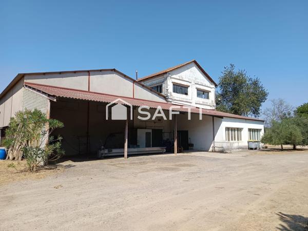 BATIMENTS SUR 6749 M2 DE TERRAIN EN BORD DE RN 113