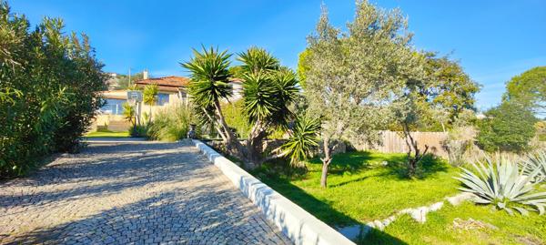 Achat maison Vallauris - 7 pièce(s) - 250 m² - 1 490 000 €