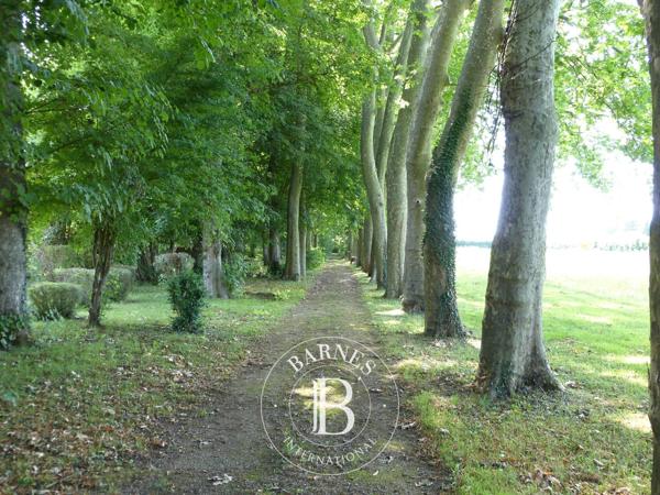 Chalon-sur-Saône, Propriété 7 Chambres -  660 m² à vendre
