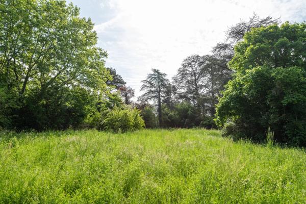 Sainte-Foy-lès-Lyon – Propriété bourgeoise rénovée avec terrain constructible de 6 093 m²