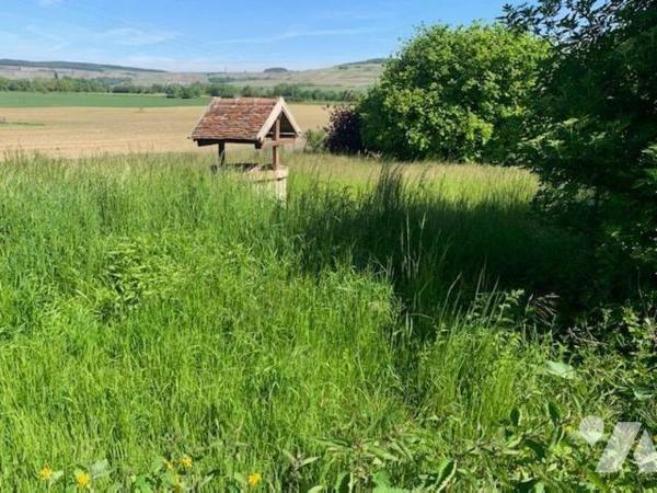 A 15 mn d'EPERNAY Maison rénovée avec dépendance et jardin