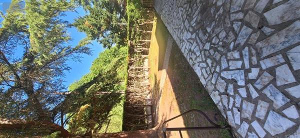 Maison à vendre à Villemandeur dans le Loiret (45700), ref : 45049-101