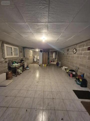 Achat - Maison Évellys 56500 5 pièces 132 m 2 1015 m 2