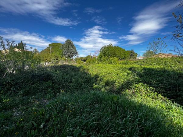 Terrain à vendre    Caderousse