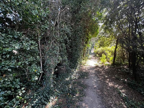 Terrain à vendre    Caderousse