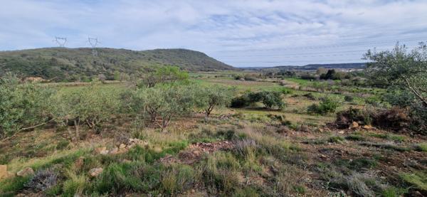 Terrain agricole et de loisir de  20600 m2