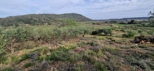 Terrain agricole et de loisir de  20600 m2