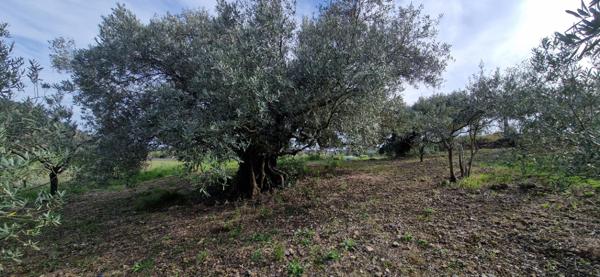 Terrain agricole et de loisir de  20600 m2