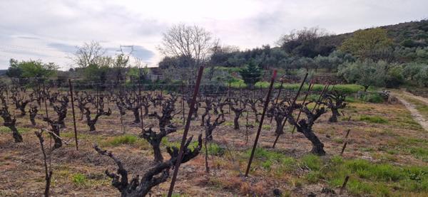 Terrain agricole et de loisir de  20600 m2